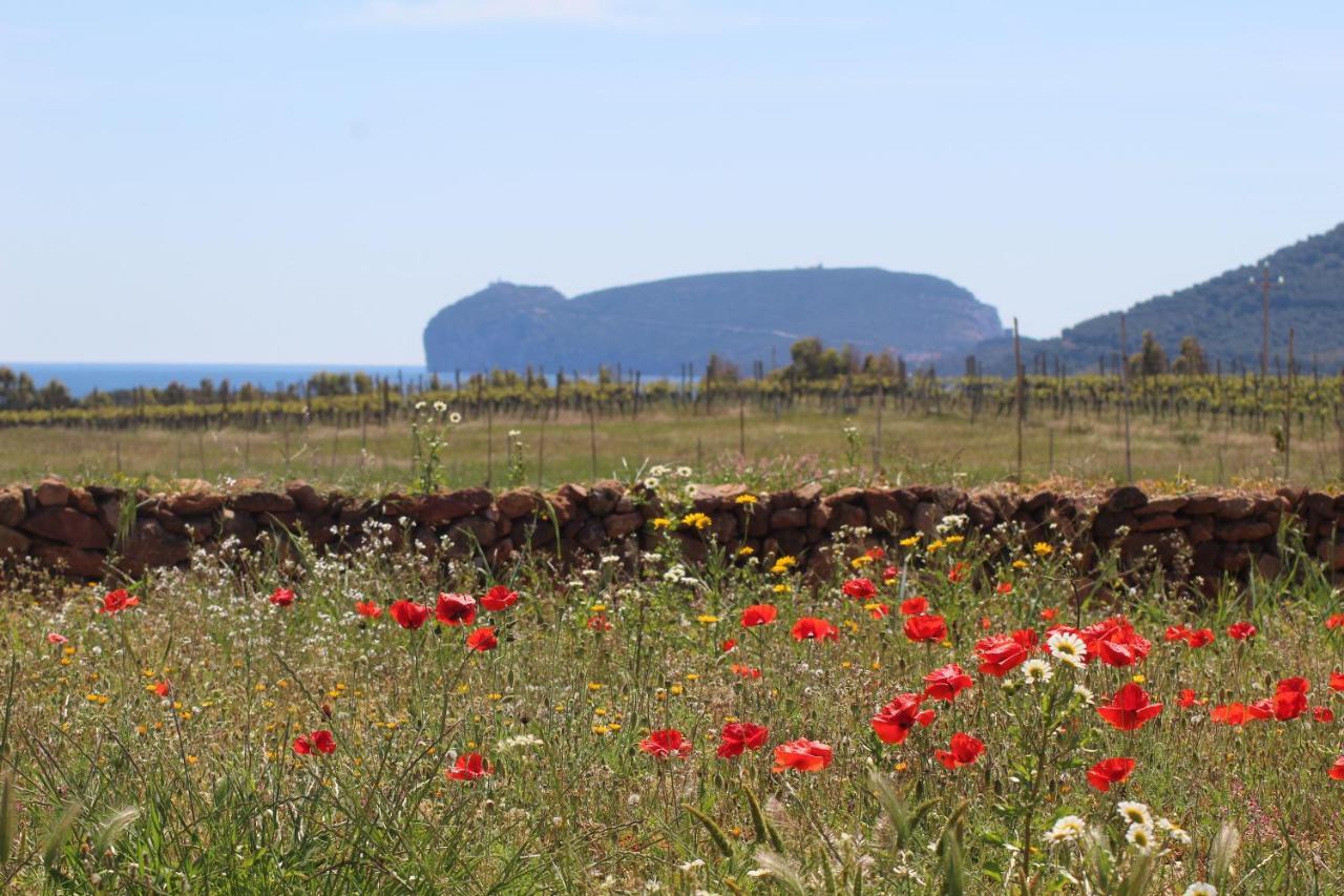 Agriturismo Graziano E Barbara Porto Conte Zewnętrze zdjęcie