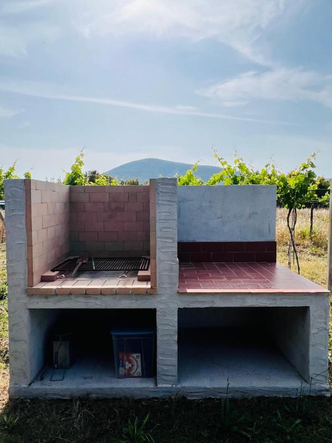 Agriturismo Graziano E Barbara Porto Conte Zewnętrze zdjęcie